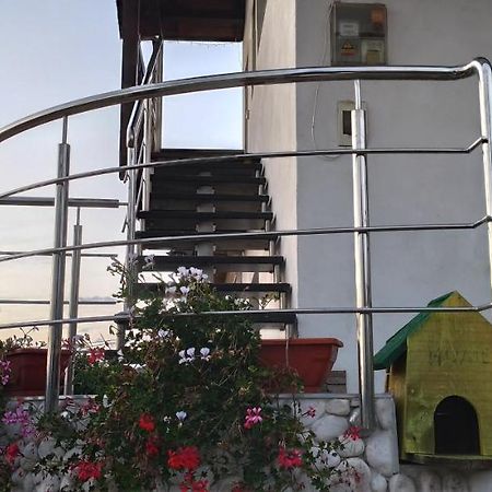 トゥルダCasa Orsiアパートメント エクステリア 写真